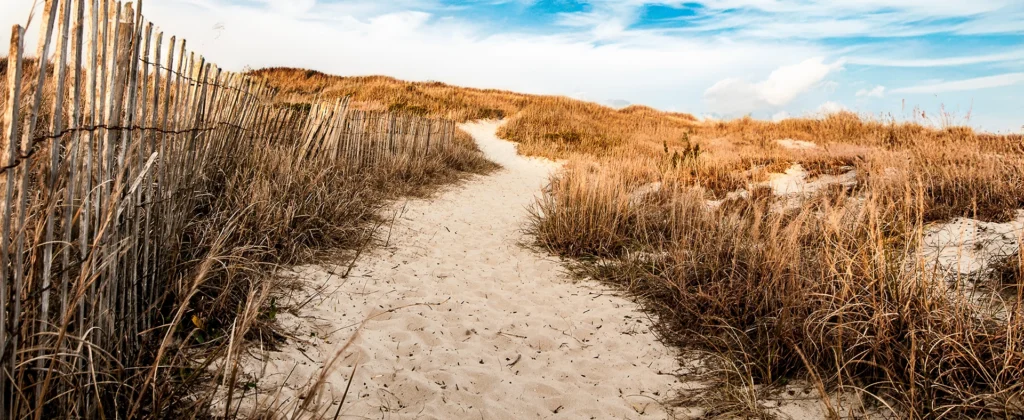 social media strategy