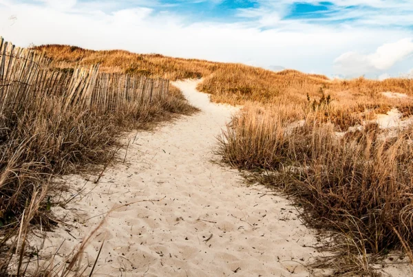 social media strategy